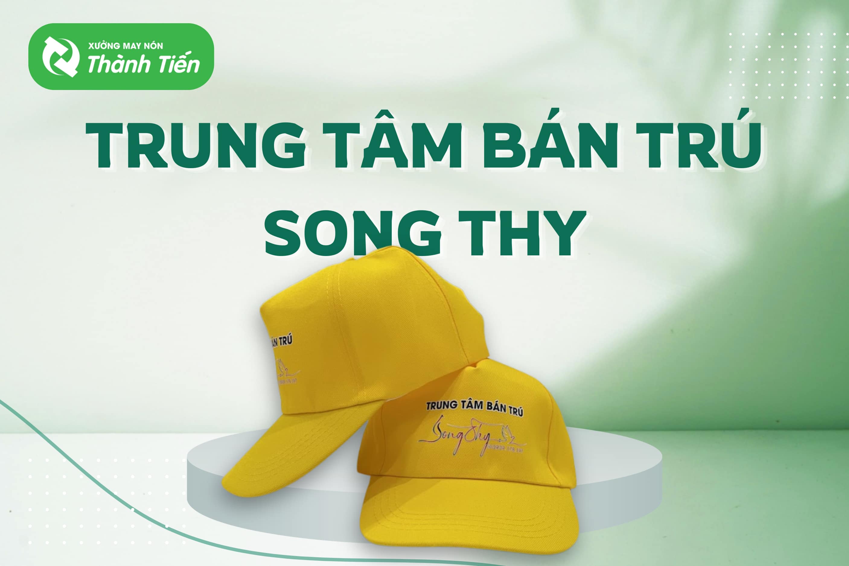 Trung t&acirc;m b&aacute;n tr&uacute; Song Thy