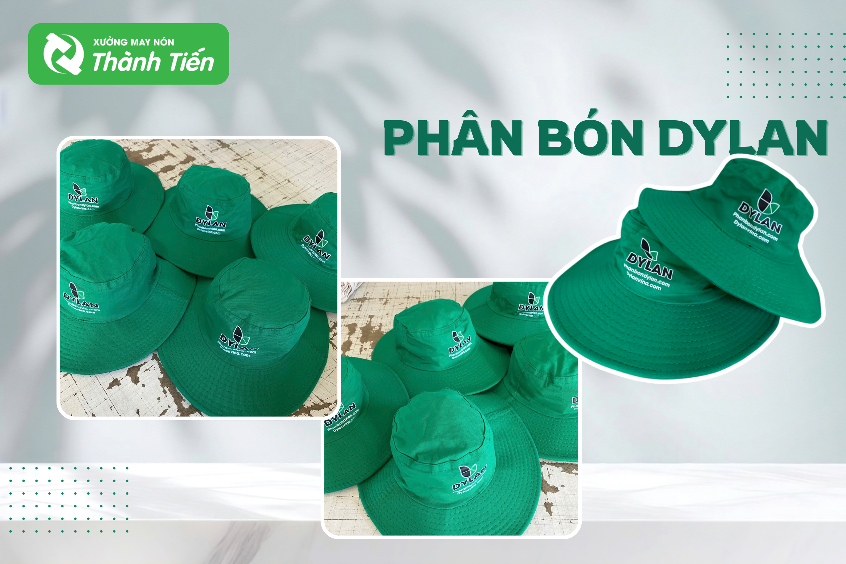 n&oacute;n tai b&egrave;o dylan